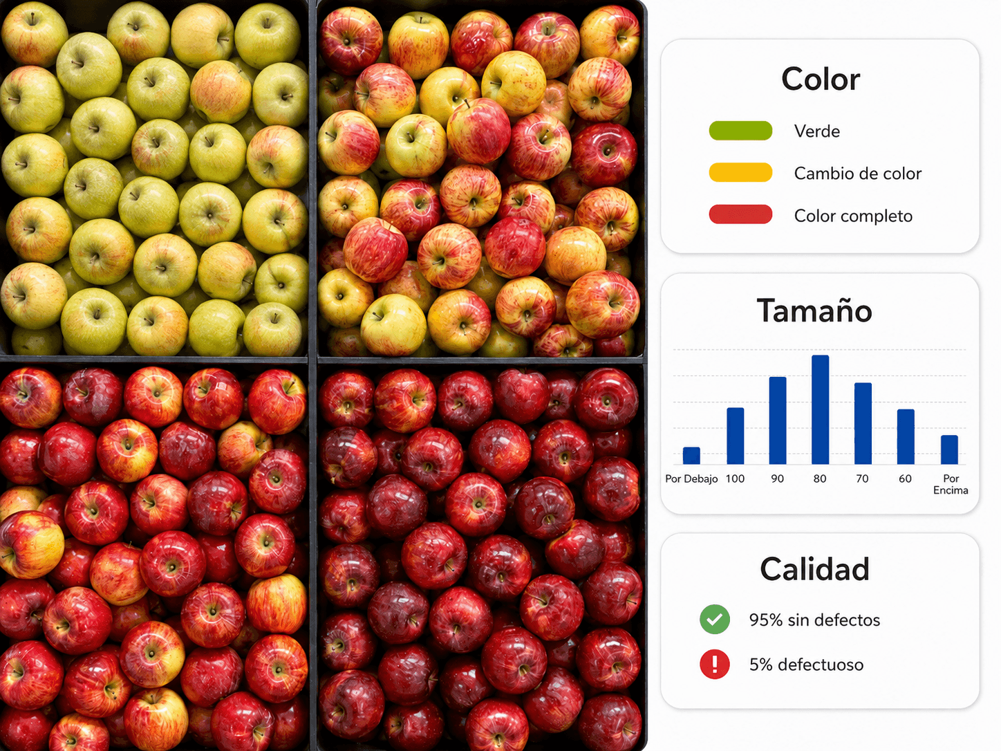 Resultado de análisis de bins: color, tamaño y calidad de manzanas